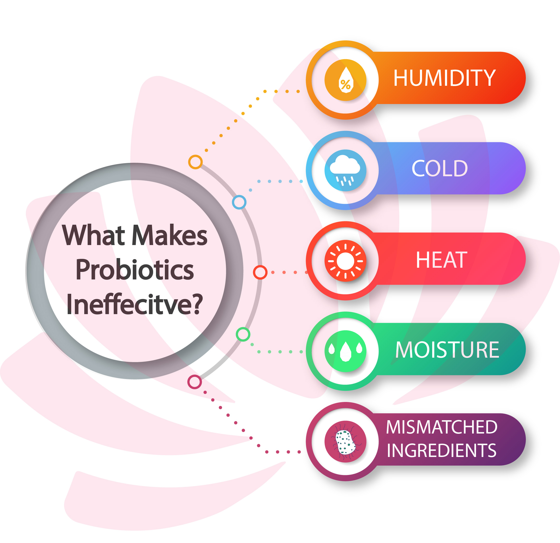 V-Luxe Probiotics Shelf Stable, Survive Extreme Weather & Survive Stomach Acid